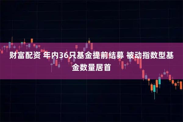财富配资 年内36只基金提前结募 被动指数型基金数量居首