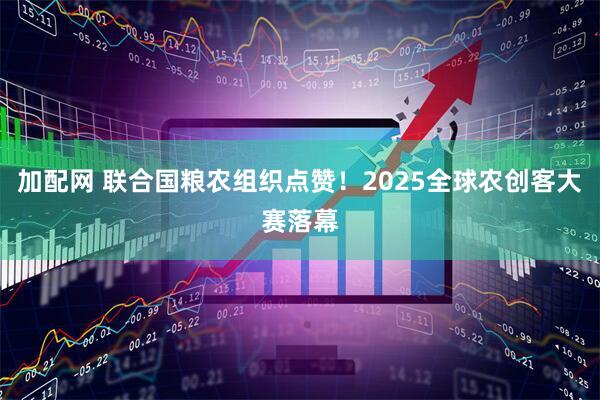 加配网 联合国粮农组织点赞！2025全球农创客大赛落幕